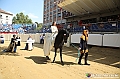 VBS_0744 - Palio di Asti 2024